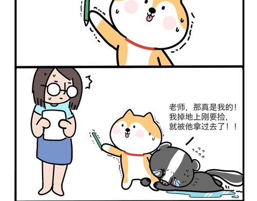 拾金不昧