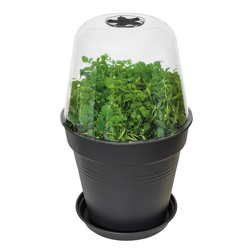 elho种菜营养豆苗种植盘发发芽育苗塑料种子花盆