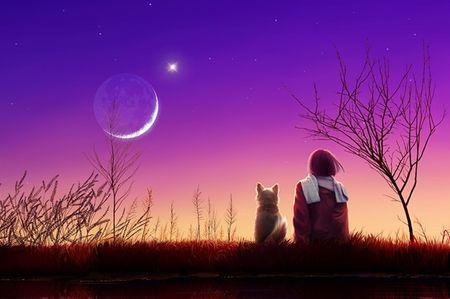 谁知道一个人和一只狗坐在紫色的月光下的背影图片