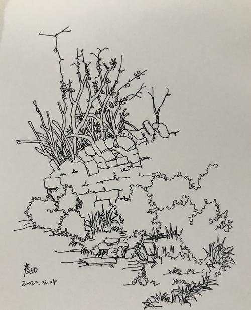 画画那些事|钢笔画之小幅练习(27)