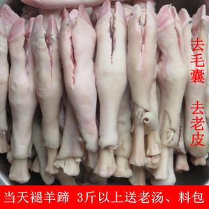 新鲜羊蹄子羊脚带皮带蹄筋羊爪手工去毛羊脚卤煮烧烤500g生羊蹄