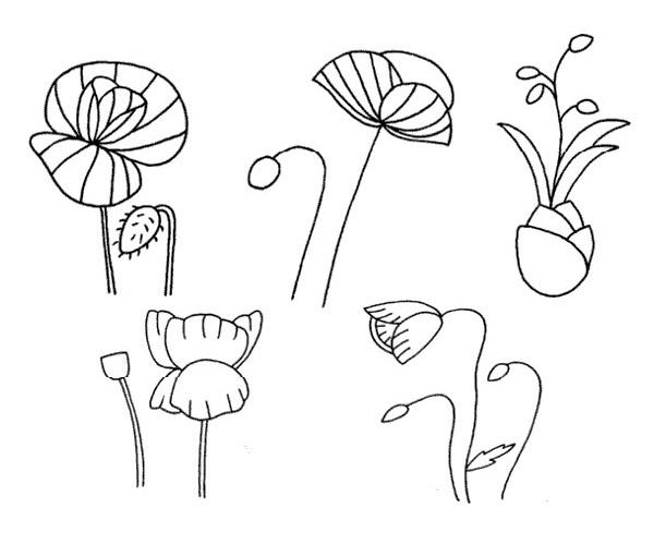 虞美人简笔画步骤图解教程及图片大全