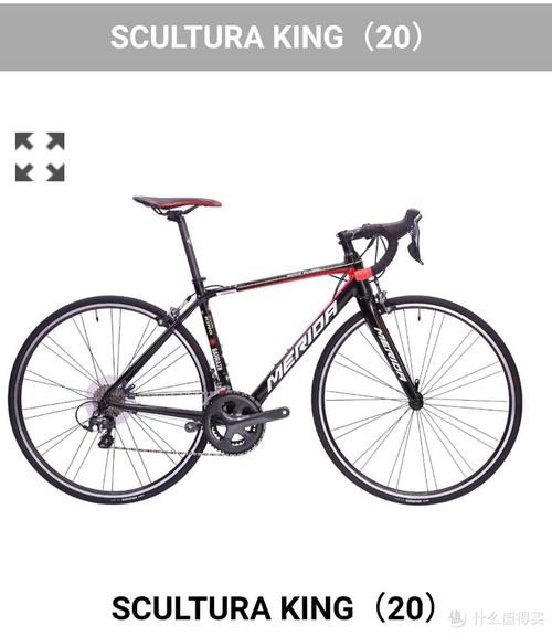 斯特拉king   5000