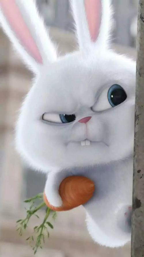 这个坏坏表情的兔子叫什么名字?