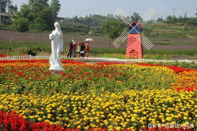 隆昌万花谷,位于四川省内江市响石镇鹰嘴村10组