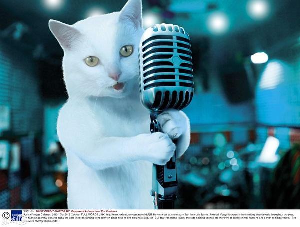 求一个小狗对着话筒叫的表情包