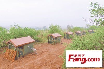 该基地一座座形似别墅的鸡舍点缀在山林之中.