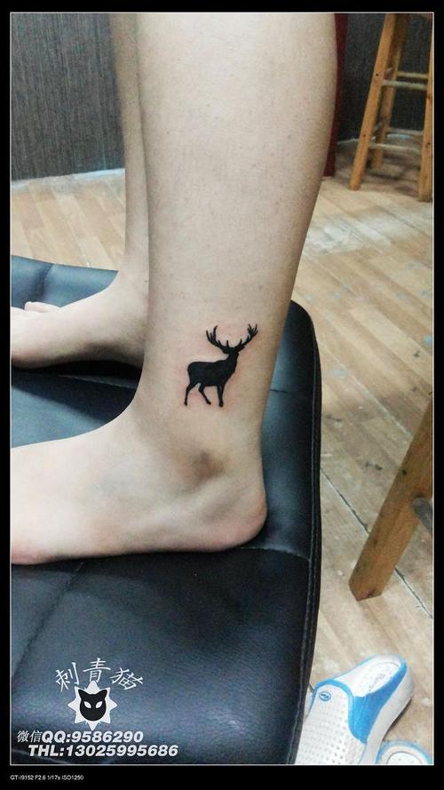麋鹿纹身,广西北海纹身刺青猫纹身.