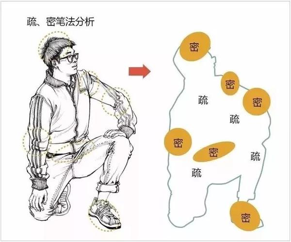 关节内侧按时结构的衣褶为密,   衣服穿得较为饱满的
