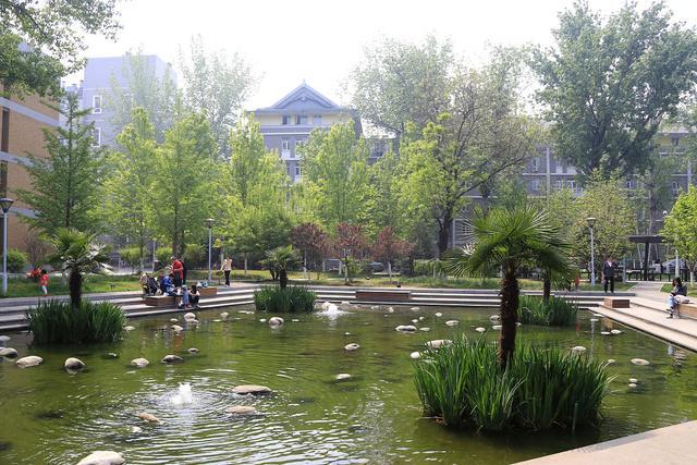 北京外国语大学校园风景是一幅优美的画卷.