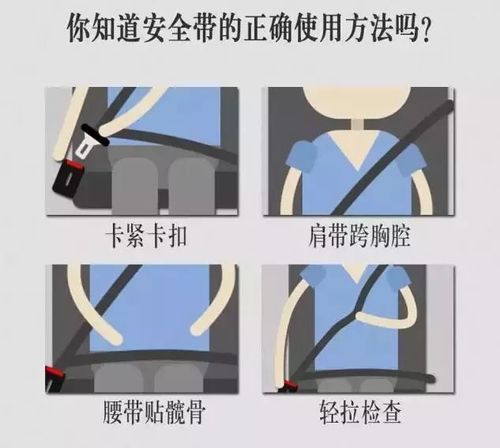 【安全小知识】安全带=生命带,你系了吗?
