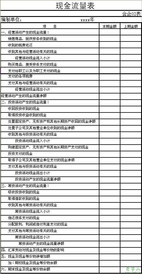 现金流量表(标准格式)