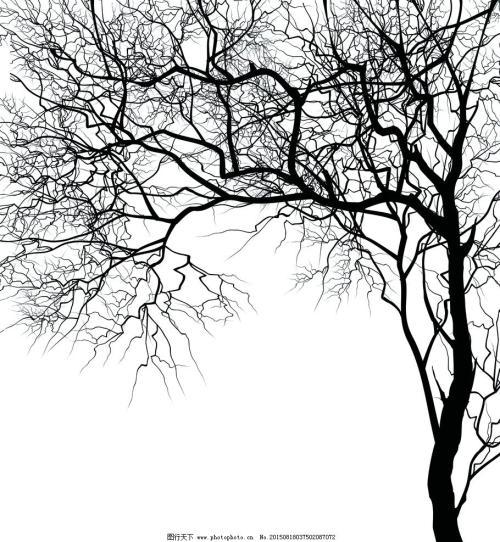 树干天然的纹理简笔画