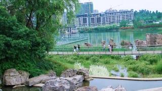 贵阳泉湖公园,周末出游不能错过的城市生态公园