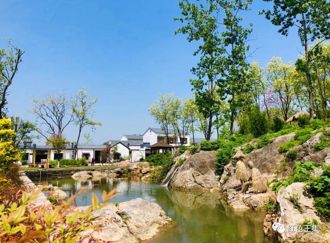 山乡美景入画来 ——江苏睢宁县鲤鱼山庄提升人居环境