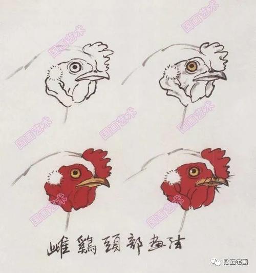 乌鸡头部画法 先用淡墨勾羽冠,行笔要轻松飘逸,特别注意眼睛上部的线