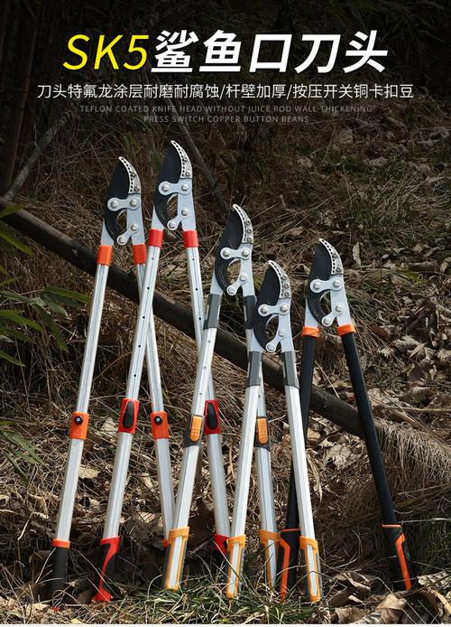 五金工具 手动工具 fancychic 剪枝剪刀修枝果树修剪树枝园艺园林省力