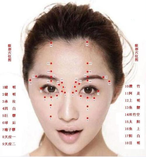 标准眼部穴位分布图及功能