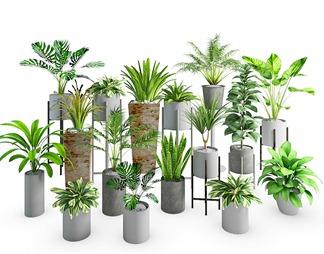 北欧室外盆栽植物3d模型下载