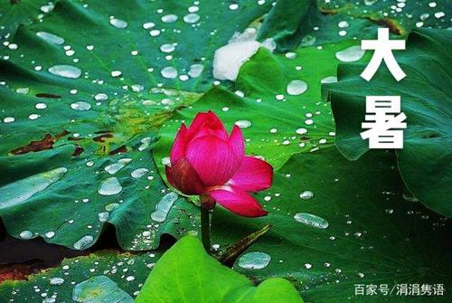 这段日子烈日当空,酷暑难耐,昨夜天降甘霖,为我们带来了丝丝清凉.