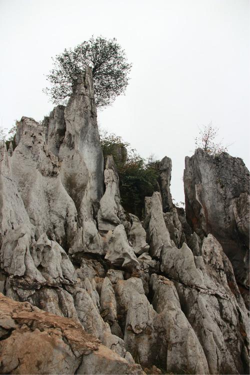广安旅游攻略 小游华蓥山--看双枪老太婆,游击队足迹   猜猜是人工石