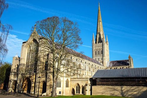 全英公学排名2019: 55 学校位置: norwich school, 71a the close