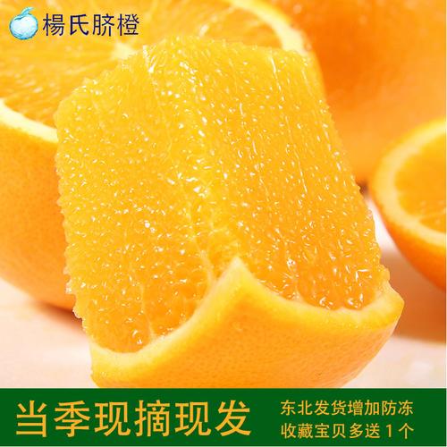 5度爱园楚橙子