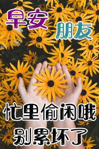 12月31日元旦快乐创意漂亮的早上好鲜花动画表情图片