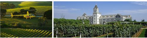 啵啵桃红葡萄酒-roosar罗莎庄园-法国红酒,进口红酒,葡萄酒,洋酒,白酒