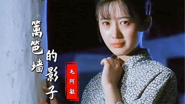 毛阿敏经典篱笆墙的影子旋律凄美忧伤唱出了生活的辛酸