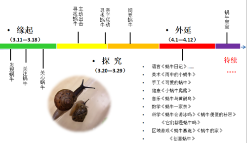 我和蜗牛有个约会
