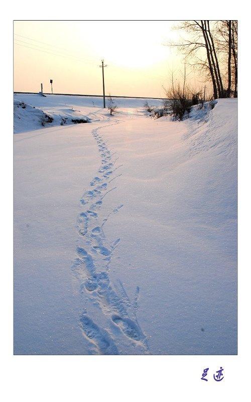 【足迹摄影图片】友谊农场纪实摄影_太平洋电脑网摄影部落