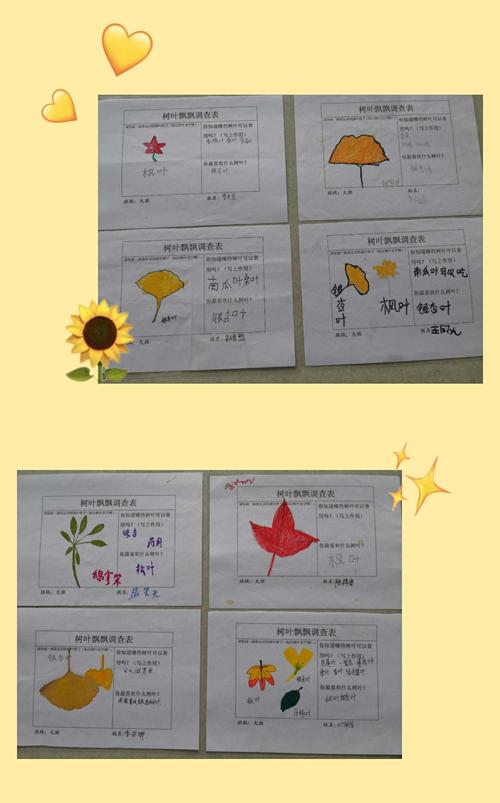 东山幼儿园大班班本活动"树叶的故事"