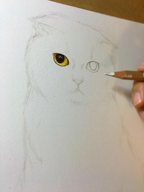 先从眼睛开始画起来,眼睛高光可以先留出来,或者用白色彩铅先画一下.