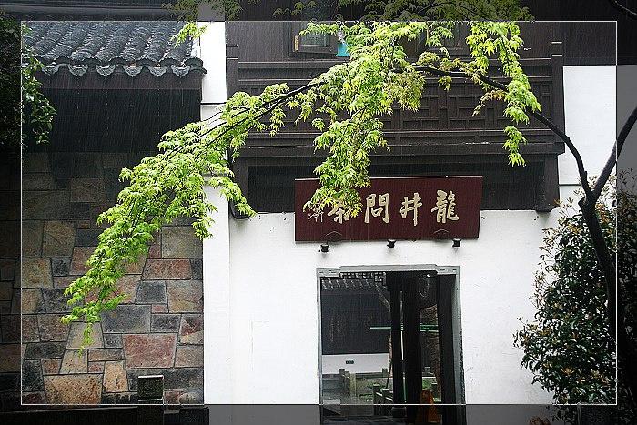 新西湖十景之龙井问茶