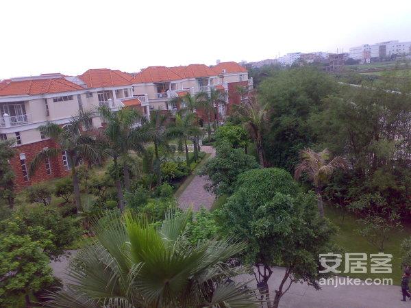 名苑别墅,市南路398号-广州名苑别墅二手房,租房-广州安居客