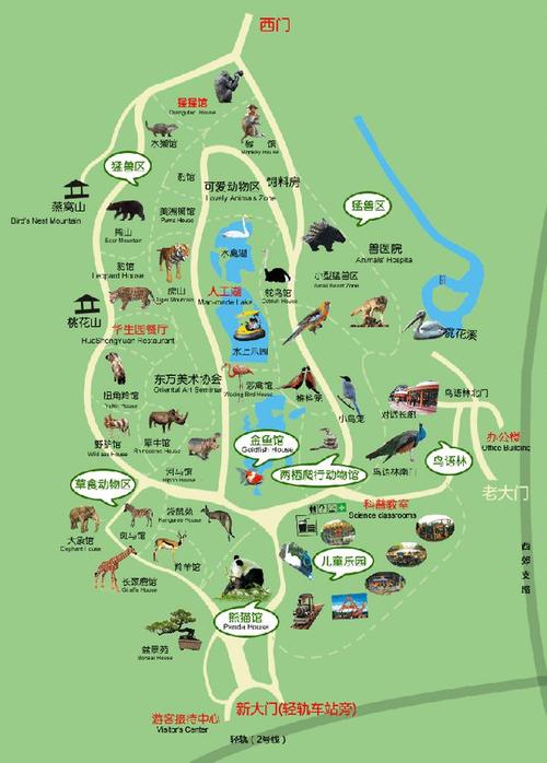 大熊猫|重庆动物园|重庆北|馆