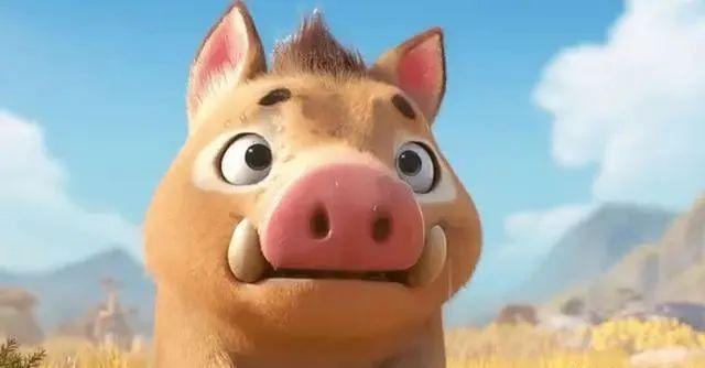 杀猪了陕西发布缩短禁猎期的通告陕西野猪泛滥成灾要管