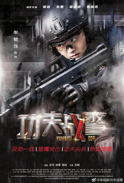 功夫战警分集剧情介绍142集大结局