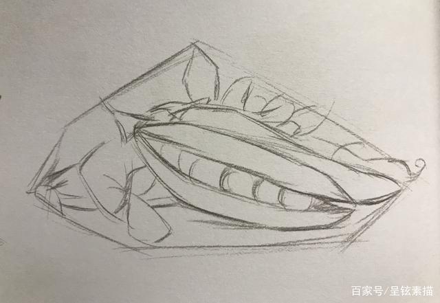 铅笔画出大的框架,可以归纳成某种几何形体,在这个框架内,勾画出豌豆