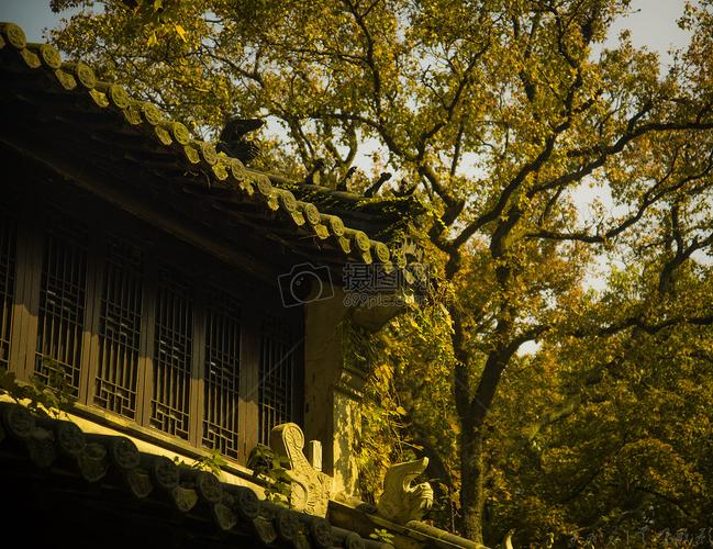 南京市灵谷寺的深秋