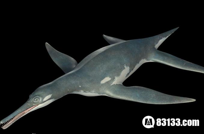 史上最凶猛的上龙:一口吞下大白鲨