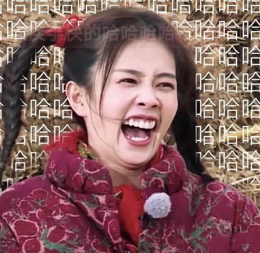 对于白鹿,比较有名的就是跑男的那个小鹿一样的表情包,当时就挺有好感