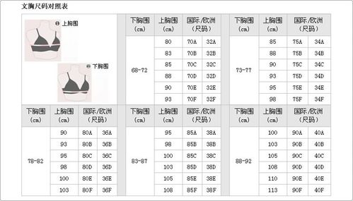 谁能告诉我这是什么罩杯啊?