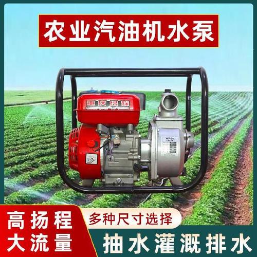 汽油机水泵家用菜地浇水小型我想买池塘农用泵头手提耐腐蚀井水泵
