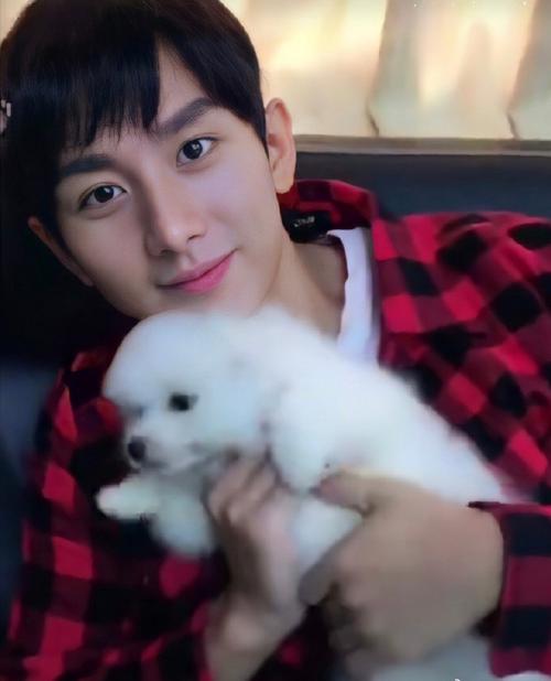 1120发现一只大可爱成毅