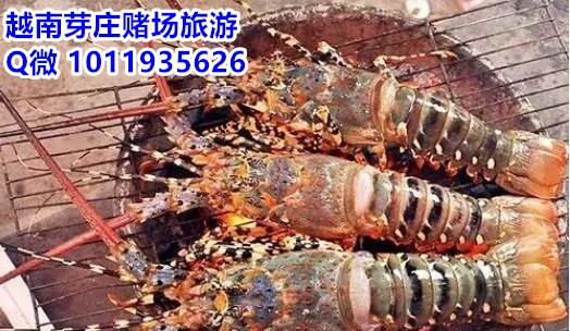越南赌场黑幕:能旅游能度假还能吃好吃的