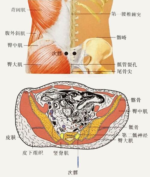 在骶部,当髂后上棘内下方,适对第2骶后孔处.