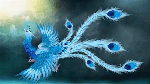鸾凤象征什么东西