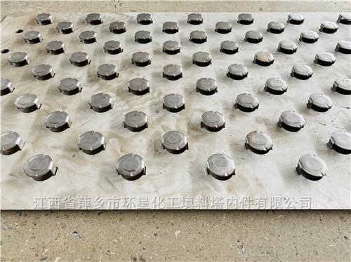 浮阀塔板按要求定制生产f1型浮阀塔盘